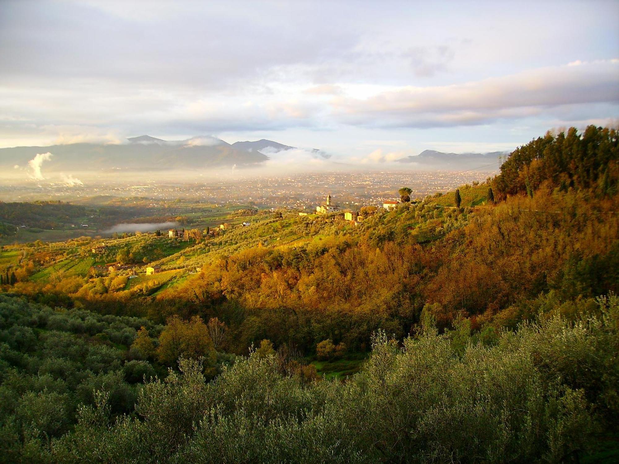 Villa Fattoria Gambaro di Petrognano Collodi Esterno foto