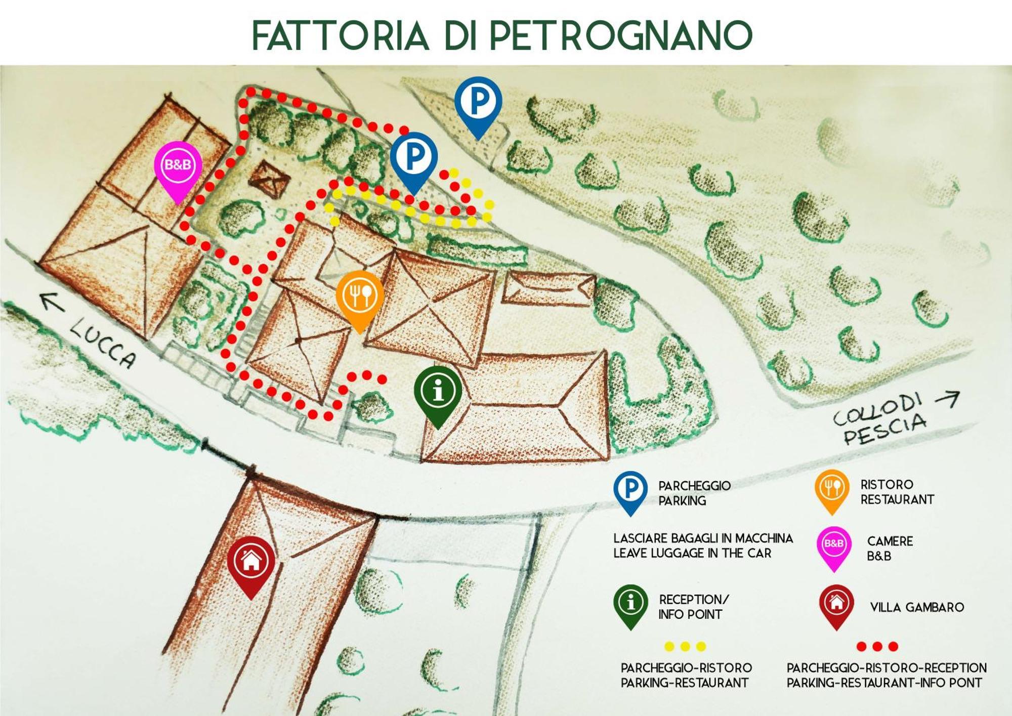 Villa Fattoria Gambaro di Petrognano Collodi Esterno foto