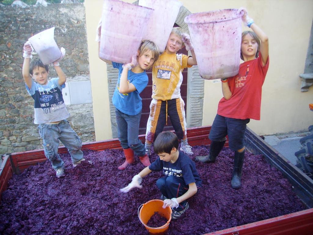 Villa Fattoria Gambaro di Petrognano Collodi Esterno foto
